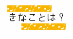 きなことは？